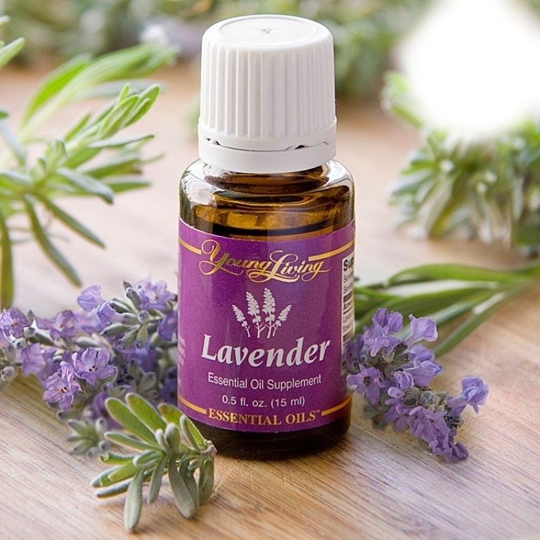 How to Fight Lice & Keep Your Kid’s Head Healthy 17 6831260354_046f93895c_b