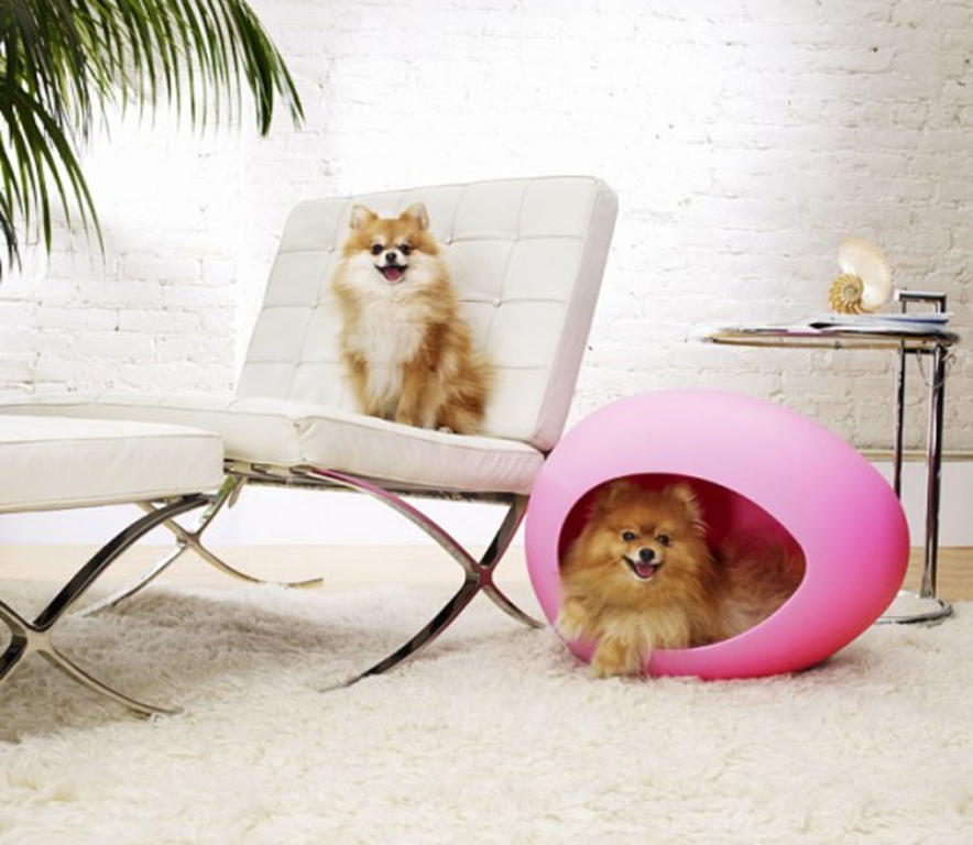 Cute-dogs-in-the-pink-pets-bed