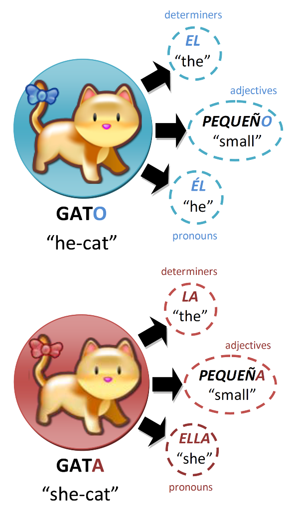 Gatos