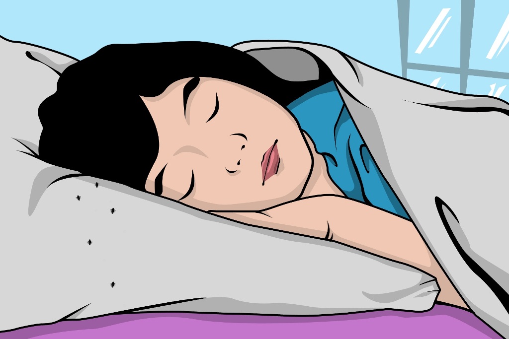 How to Fight Lice & Keep Your Kid’s Head Healthy 7 Photo-1