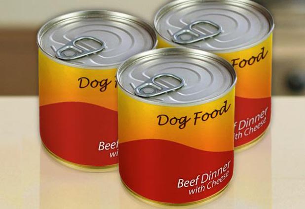 How to Choose Healthy Food for Dogs? 5 dog food