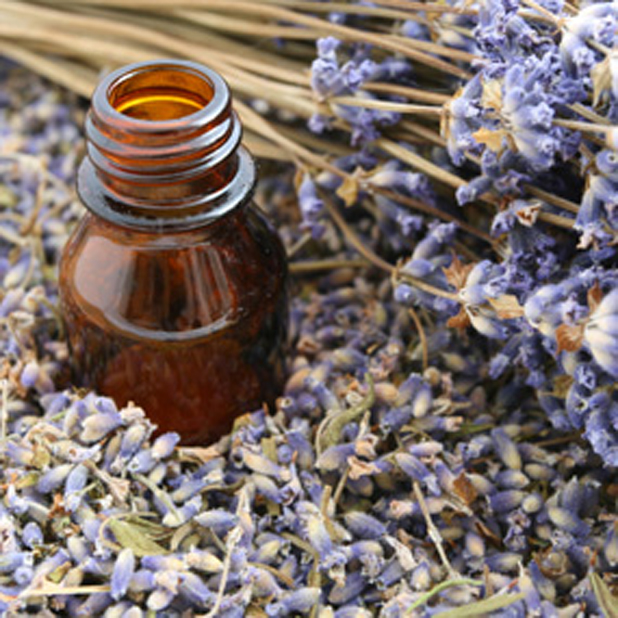 Essential oil treatment (tea tree oil)