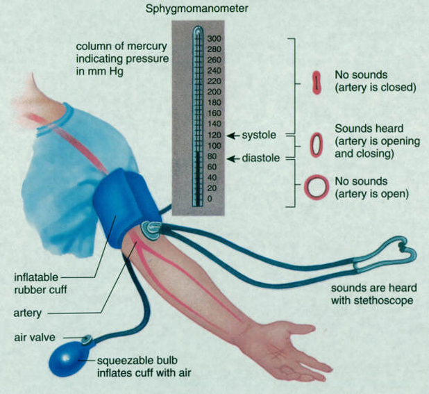 bloodpressuremeasurement How to Maintain Normal Blood Pressure - 1
