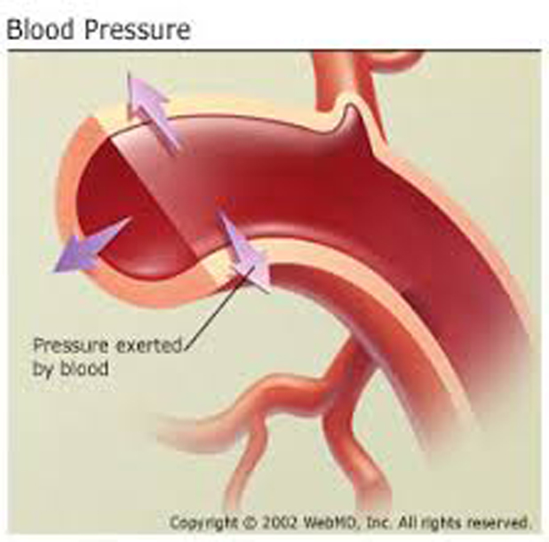 images 1 How to Maintain Normal Blood Pressure - 2