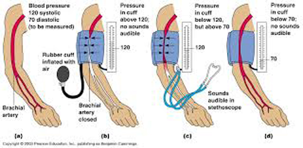 images How to Maintain Normal Blood Pressure - 3