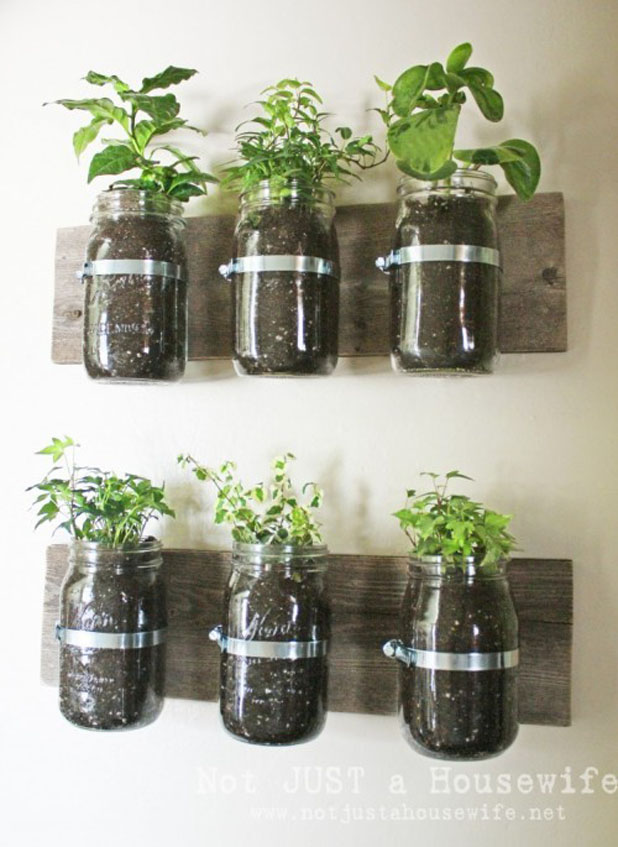 8 Decorative Ideas to Apply on Mason Jars 11 mason jar planter board 747x1024 8 Decorative Ideas to Apply on Mason Jars - 7