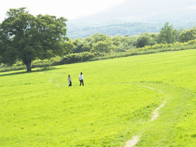 images6 3 Walking 90 Minutes in Green Shows Life in Pink - 5 Walking 90 minutes