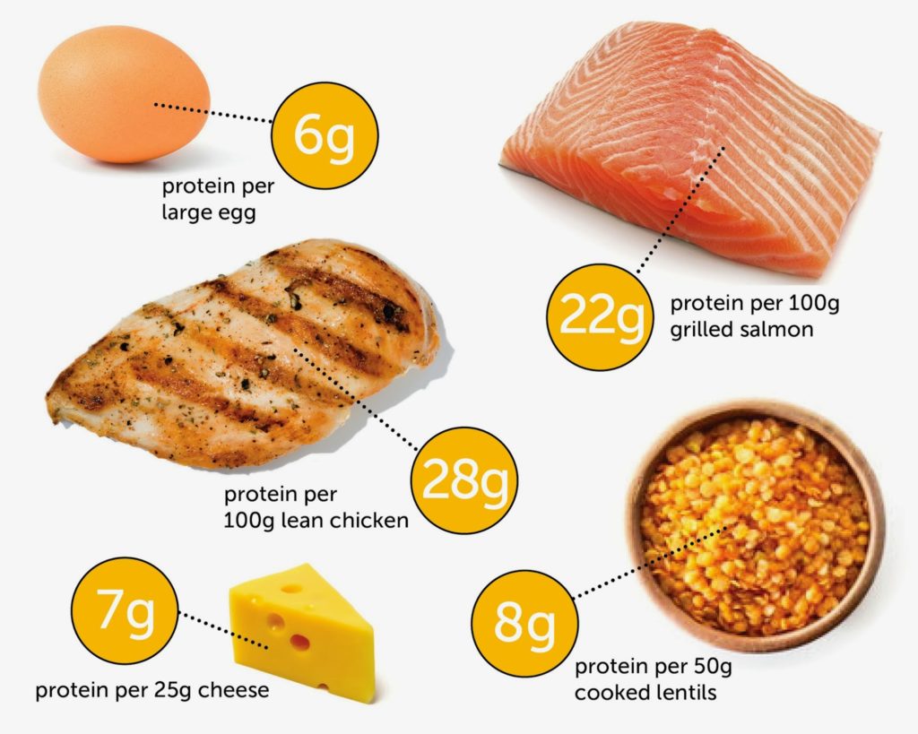 How Many Calories Should I Eat to Lose Weight? 8 10 28 1 How Many Calories Should I Eat to Lose Weight? - 7 calories lose weight