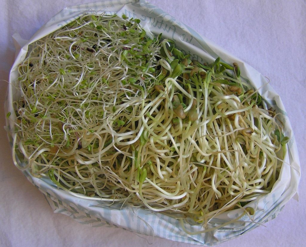 11 17 1 The Virtues of Fenugreek - 4 virtues fenugreek