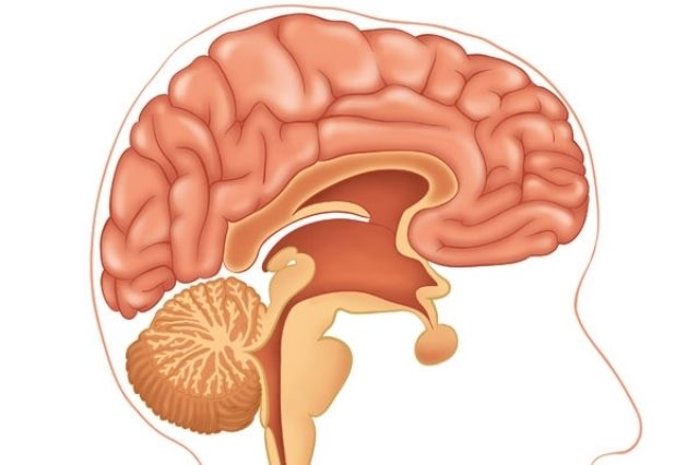 2 26 1 The Ultimate Guide to Exercises for Your Brain - 2 ultimate guide exercises brain