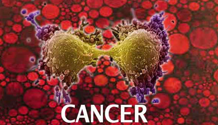 24 8 1 Top 12 Carcinogenic Foods You Should Avoid! - 10 top carcinogenic foods avoid