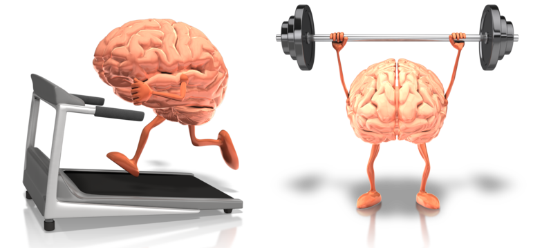 The Ultimate Guide to Exercises for Your Brain