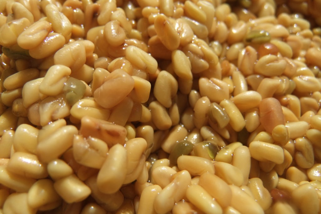 8 19 1 The Virtues of Fenugreek - 3 virtues fenugreek