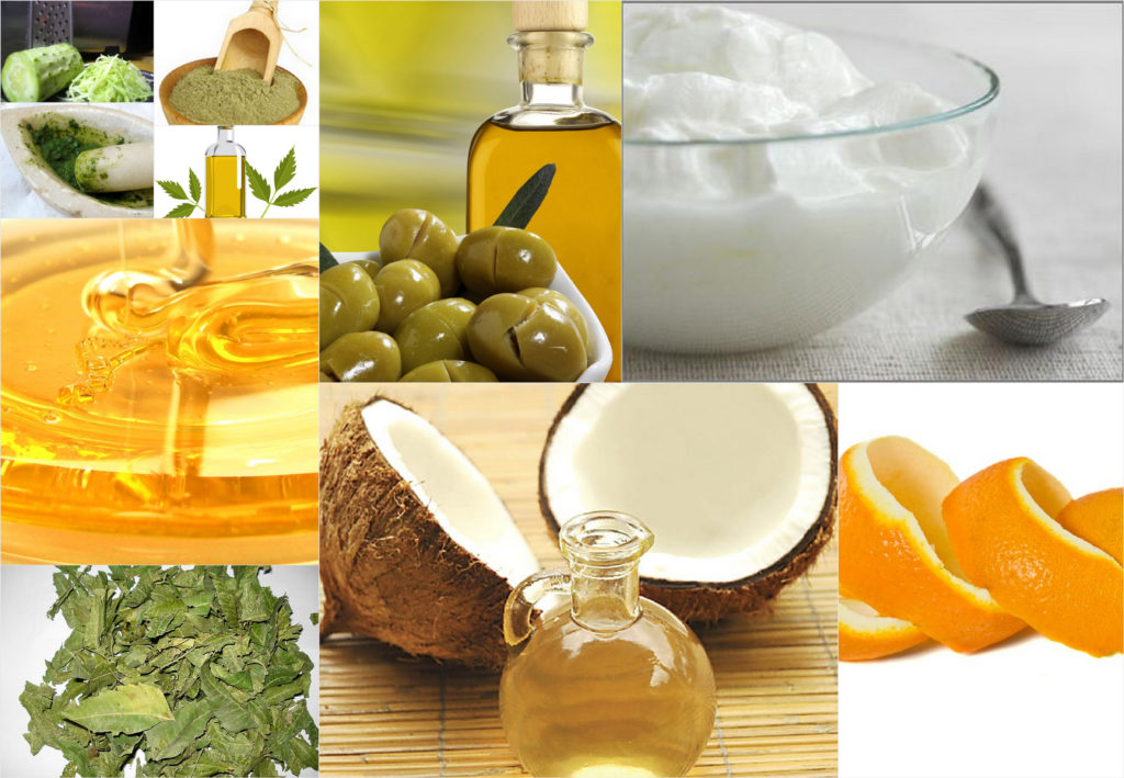 16 16 1 The Best Tips to Boost Your Immune System - 4 best tips boost immune system