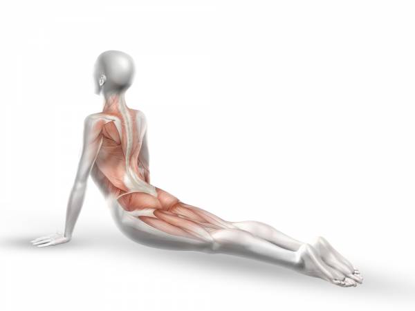 22 3 1 Types of Back Pain: Causes, Symptoms, Prevention and Treatment - 3 types back pain cause symptoms prevention treatment