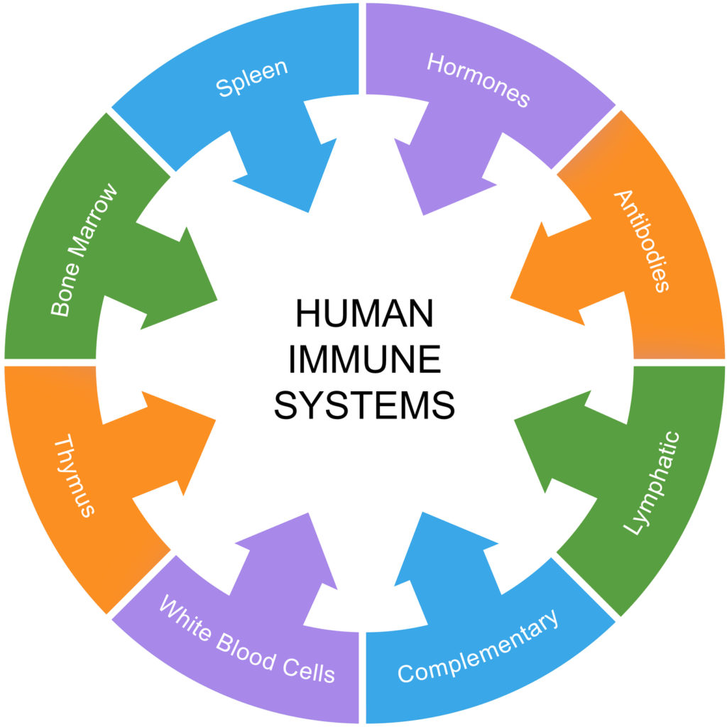 3 18 1 The Best Tips to Boost Your Immune System - 9 best tips boost immune system