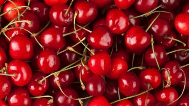 3 5 1 Sweet Cherries Health Benefits: Eat to Lose Weight - 2 sweet cherries health benefits lose weight