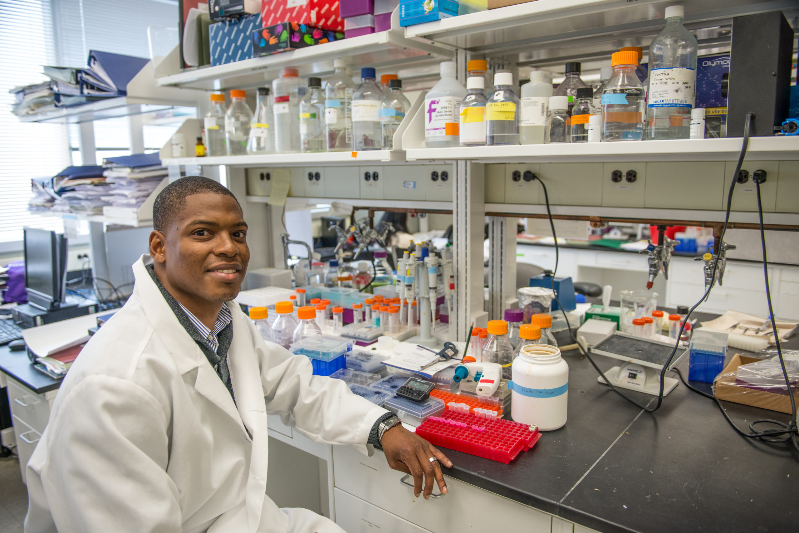 microsoft solve cancer disease next ten years