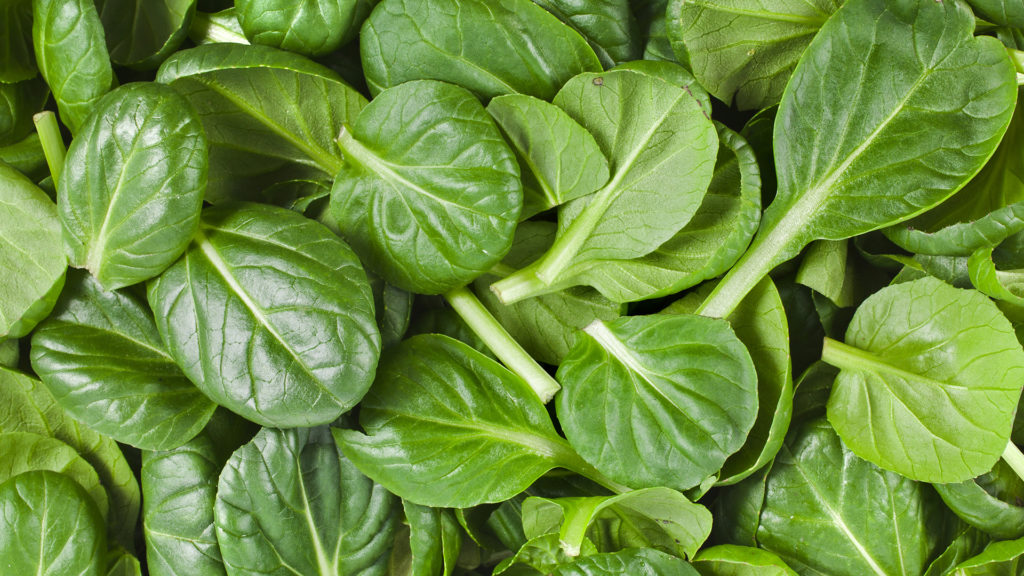 spinach top benefits eating spinach