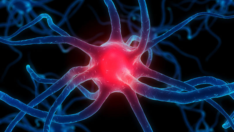Mononucleosis Disease: Causes, Symptoms and Prevention 4 parkinsons disease symptoms causes treatment