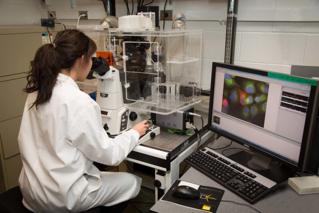 Scientists Found The Secret to Live up to 150 Years 1 microsoft solve cancer disease next ten years