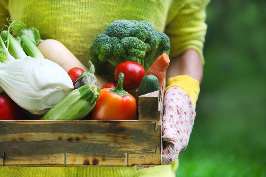 Organic Foods: Benefits on Your Health 8 organic food really worth