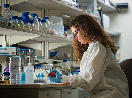 microsoft solve cancer disease next ten years