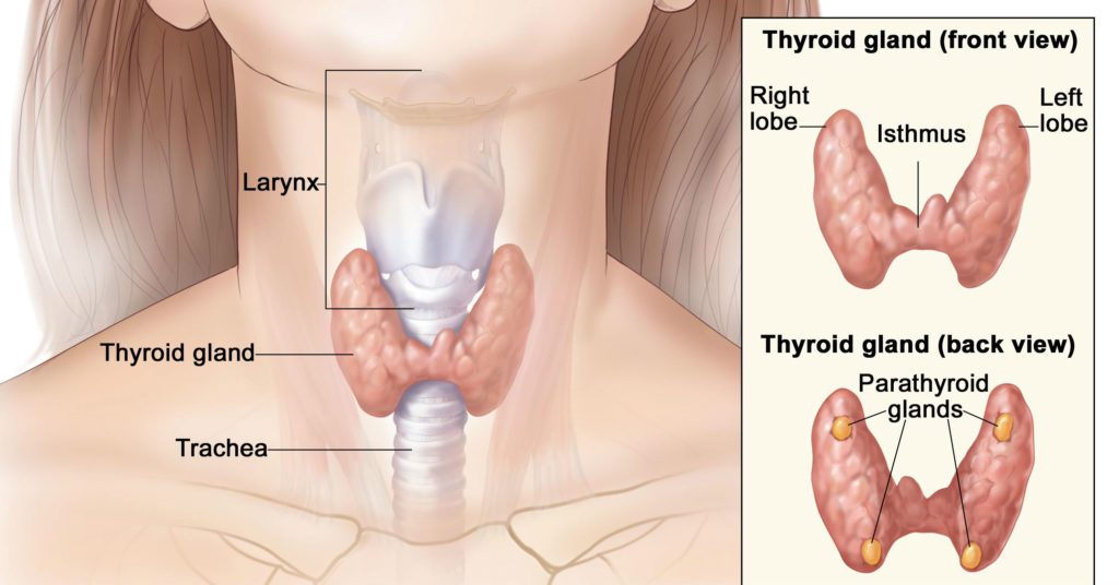 weight gain suffer thyroid problem