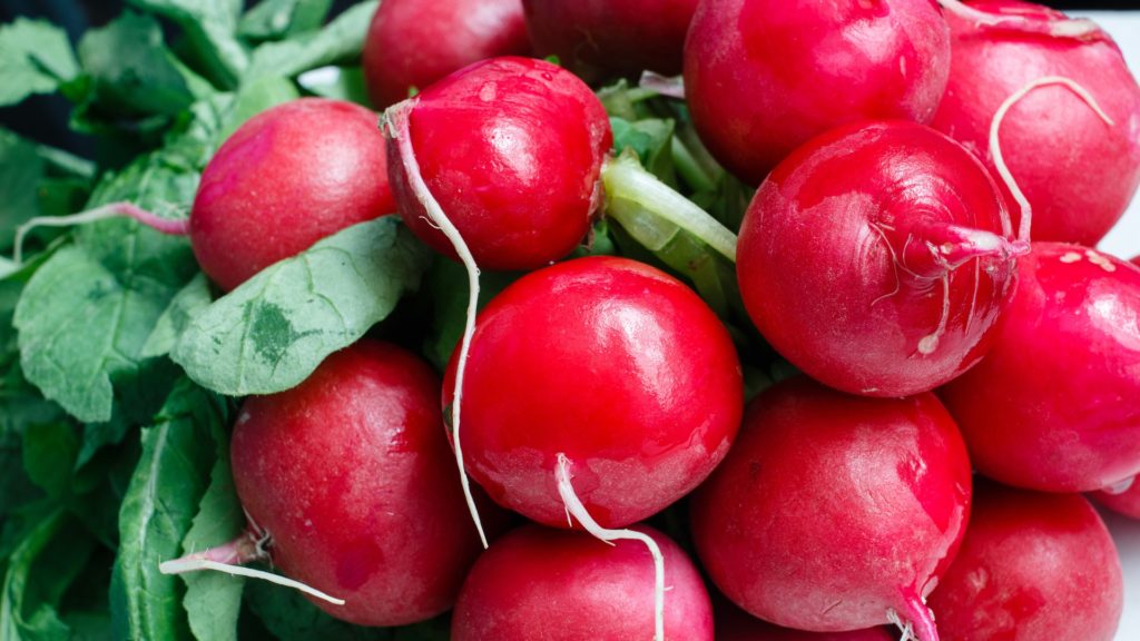 Radish: Nutritional Value and Top Benefits 1 Radish Benefits