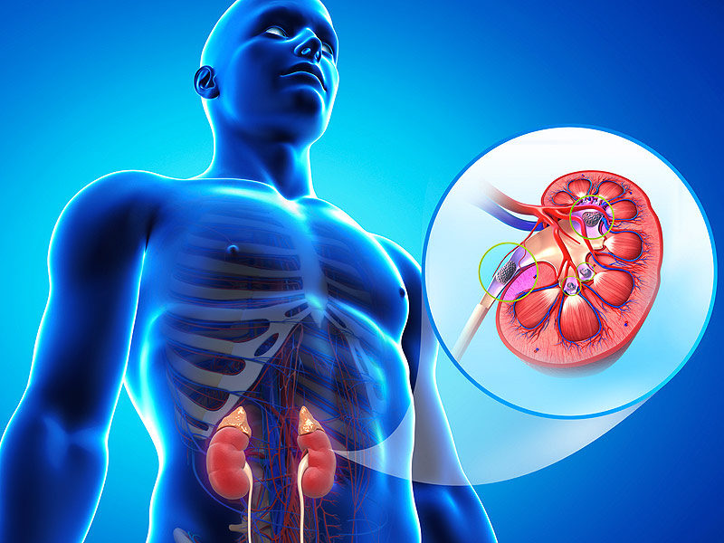 Kidney Disease