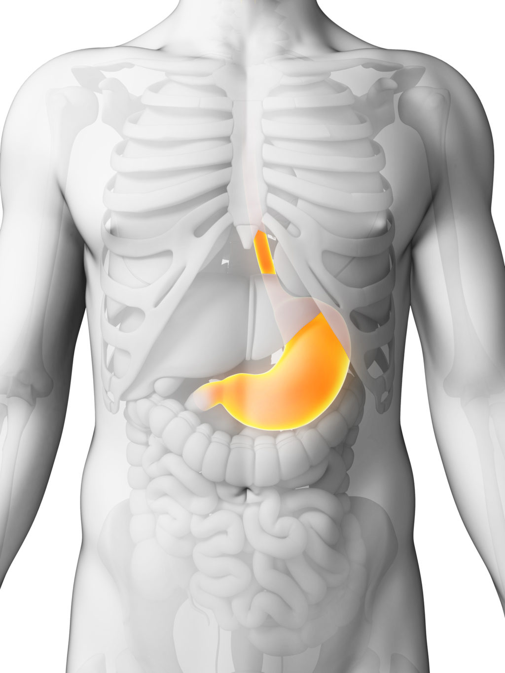 Peptic Ulcer: Causes, Symptoms and Possible Treatments 3 peptic ulcer stomach ulcer duodenal ulcer possible treatments
