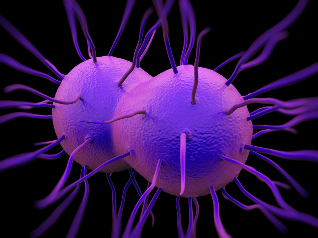 gonorrhea disease risks possible treatments