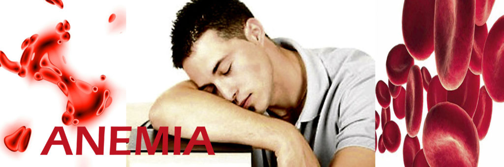 Anemia Disease: Causes, Symptoms and Treatment Measures 5 anemia disease symptoms dangers preventive measures