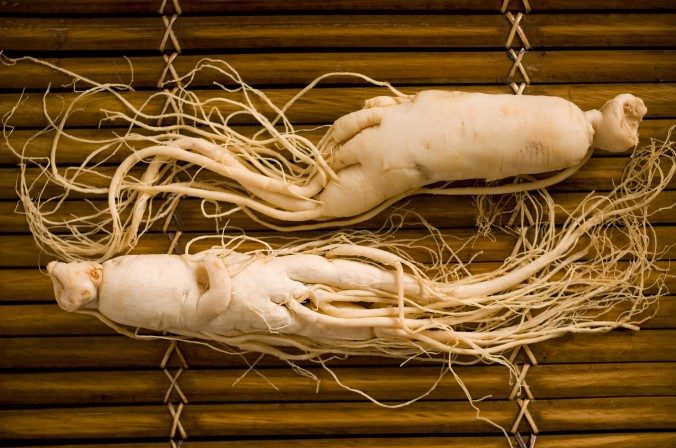 Ginseng Benefits: Best Remedy for Energy, Immunity & Concentration 1 Ginseng Benefits