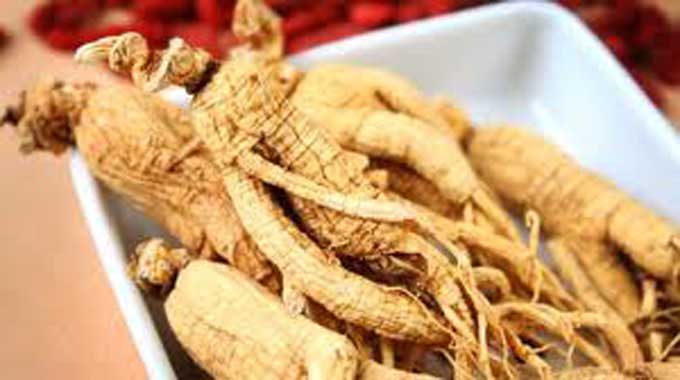 Ginseng Benefits: Best Remedy for Energy, Immunity & Concentration 3 Ginseng Benefits