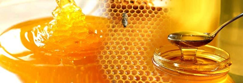 Royal Jelly: Uses, Side Effects, Interactions and Warnings 2 Honey Benefits