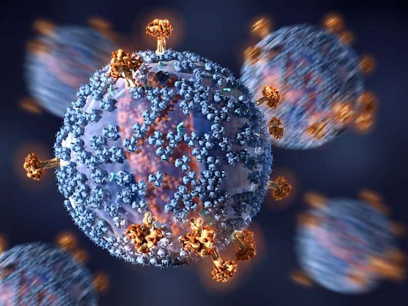 HIV Disease: Scientists Make Cells Resistant To HIV - Graspers.com