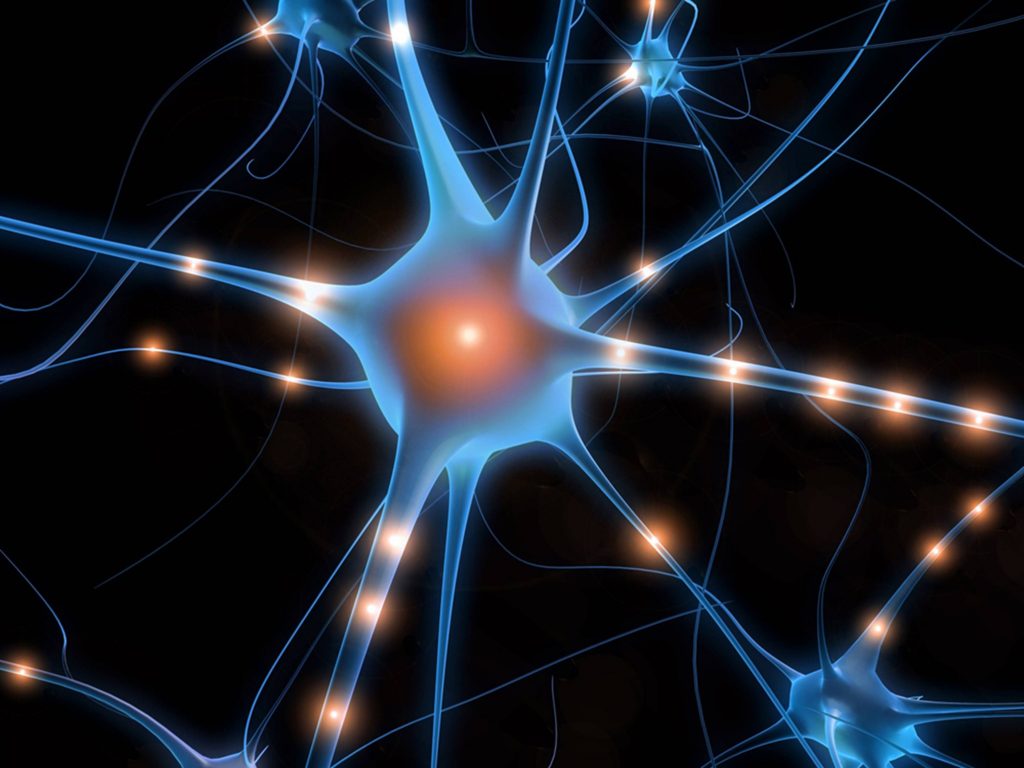 Scientists Discover How to 'Delete' Unwanted Memories 2 Memory: Scientists Have Discovered How to 'Delete' Unwanted Memories