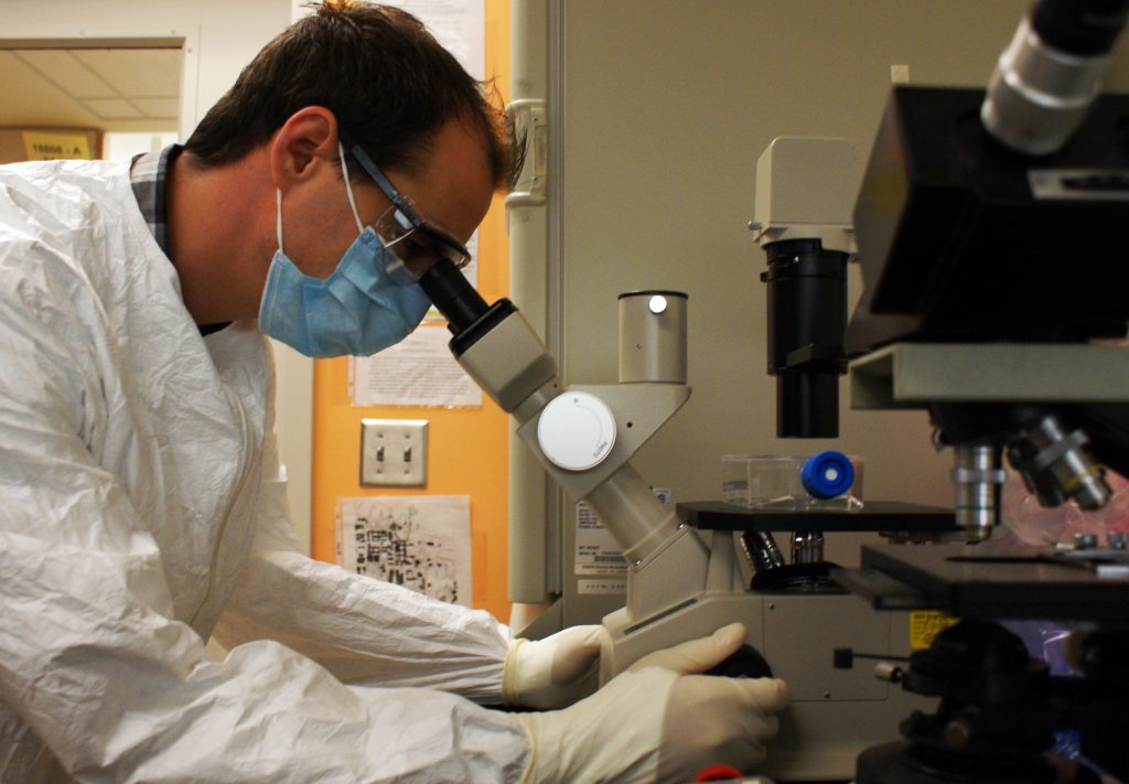 HIV Disease: Scientists Make Cells Resistant To HIV - Graspers.com