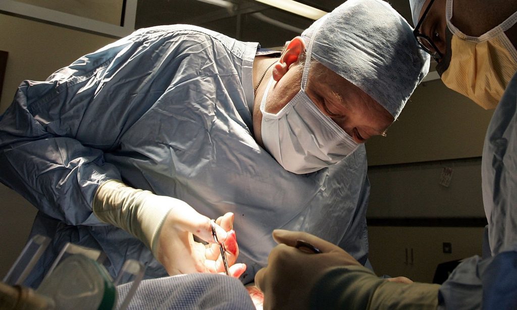 Organ Creation : A Functional Organ Created from Reprogrammed Cells