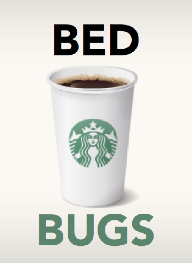Bedbugs Peter Macaluso - 4