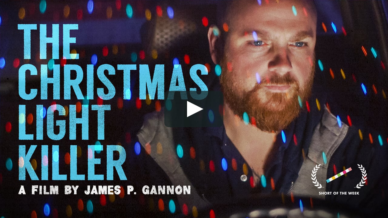 The Christmas Light Killer James Gannon - 2