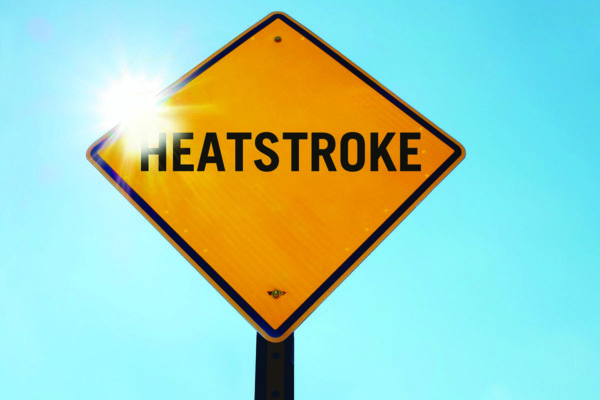 Top Signs that You Run the Risk of a Heatstroke without Knowing It 2 heatstroke 1 Top Signs that You Run the Risk of a Heatstroke without Knowing It - 2 heat stroke