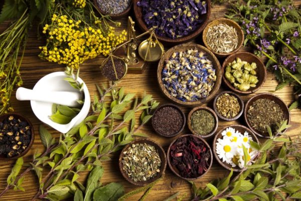 Ayurveda Ayurveda: Facts and Best Cures for Different Diseases and More - 1 Ayurveda