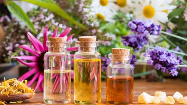 Bach Flower: Their Top Benefits on Your Health 4 Bach flower Remedies 3 Bach Flower: Their Top Benefits on Your Health - 4 bach flower
