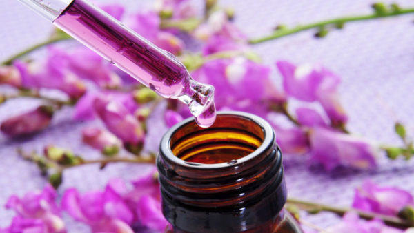 Bach Flower: Their Top Benefits on Your Health 3 Bach flower remedies 2 Bach Flower: Their Top Benefits on Your Health - 3 bach flower