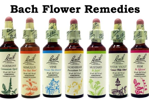 Bach Flower: Their Top Benefits on Your Health 2 Bach flower remedies Bach Flower: Their Top Benefits on Your Health - 2 bach flower