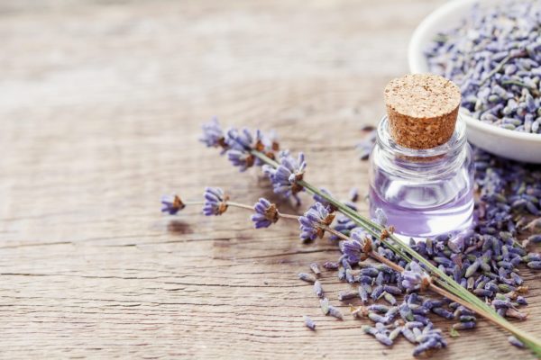 Headache Treatment: Healing and Recovering of Headache with Herbal Medicine 6 Lavender Headache Treatment: Healing and Recovering of Headache with Herbal Medicine - 6 Headache Treatment