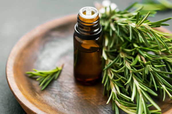 Headache Treatment: Healing and Recovering of Headache with Herbal Medicine 5 rosemary Headache Treatment: Healing and Recovering of Headache with Herbal Medicine - 5 Headache Treatment