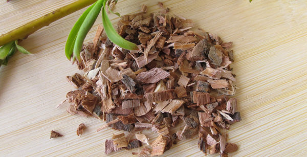 Headache Treatment: Healing and Recovering of Headache with Herbal Medicine 3 willow bark herbs Headache Treatment: Healing and Recovering of Headache with Herbal Medicine - 3 Headache Treatment